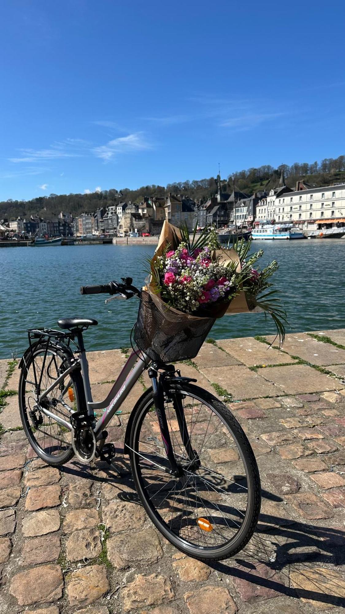 Les Calins D'honfleur *